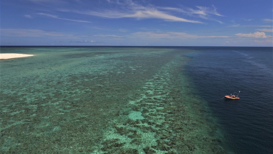 San hô tại rạn Great Barrier bị tẩy trắng nghiêm trọng